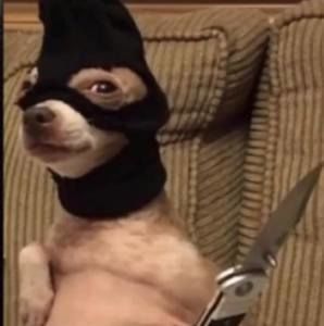 Meet your Posher, Stacey